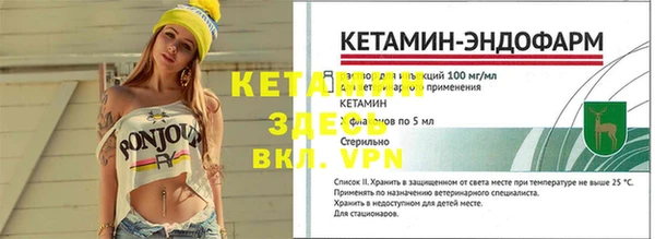 спиды Белокуриха