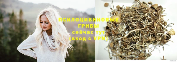 спиды Белокуриха